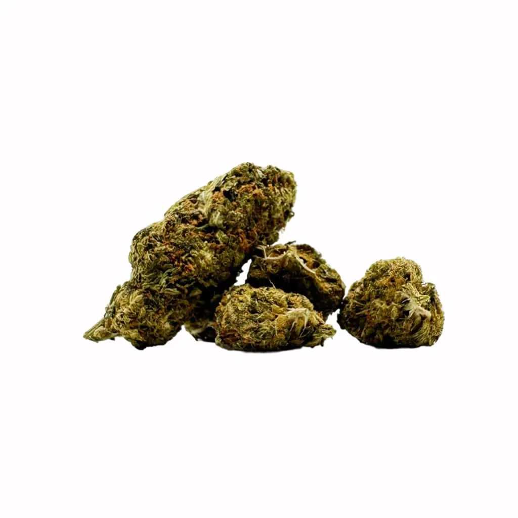 Jack Herer Strain
