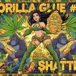 Gorilla Glue #4 Shatter – Heavy-Hitting Hybrid Cannabis Extract | Green Serenity